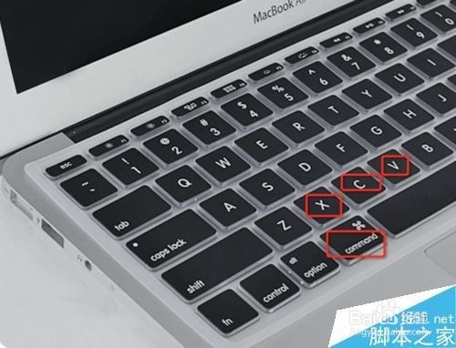 苹果MAC系统复制黏贴快捷键是什么？