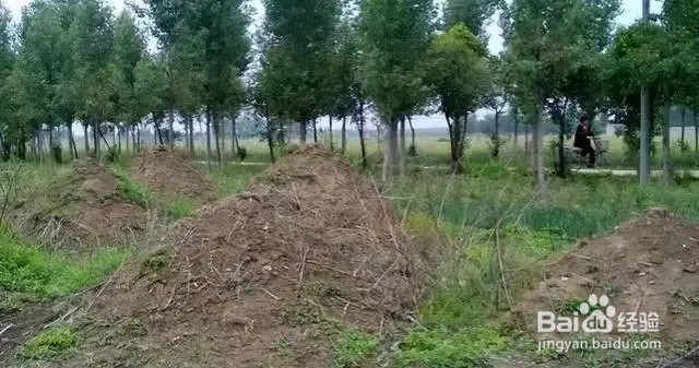 移坟后旧坑如何处理