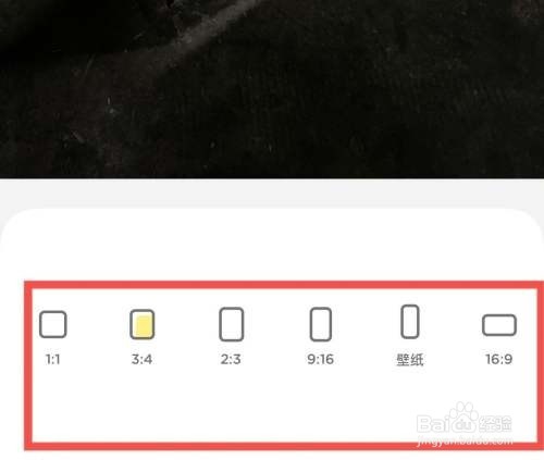 如何设置照片的比例