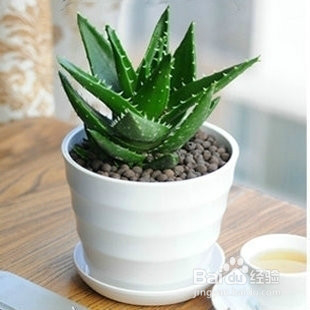 歌诗图新车有味道怎么办