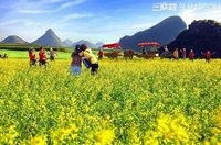 解析清明节的习俗