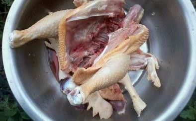 怎样杀鸡比较简单