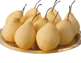 吸脂神物，你可以尝试。