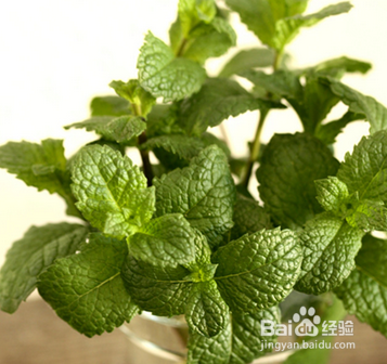 内科疾病的小偏方：[3]感冒特效理疗小偏方