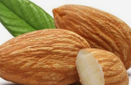 如何区别苦杏仁与甜杏仁?