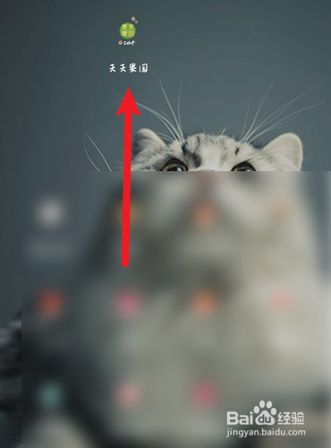 天天果园怎么查找我的收藏