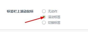 教你如何使用360浏览器Se8版之标签设置