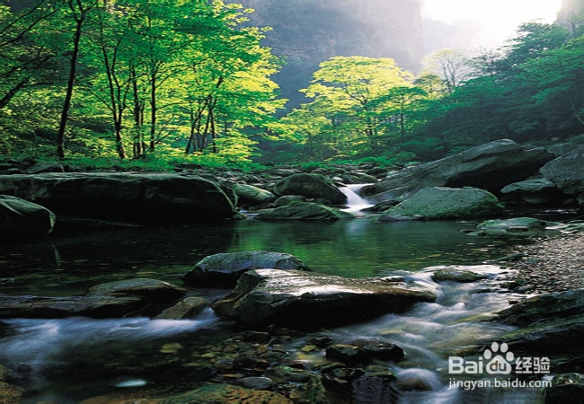 春节张家界旅游攻略