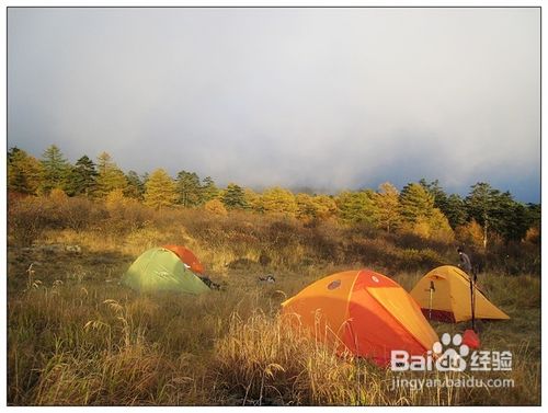 荒野中怎样快速寻找栖息地