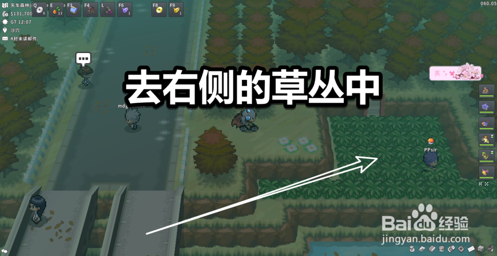 pokemmo怎么获得车轮球