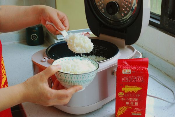 滋味十足照烧鸡腿饭