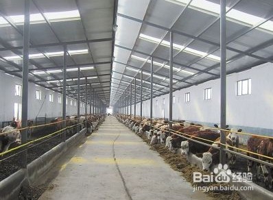 农业物联网解决方案