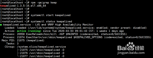 linux 如何查看keepalived版本