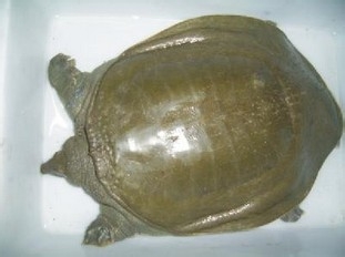 怀孕期间的那些事