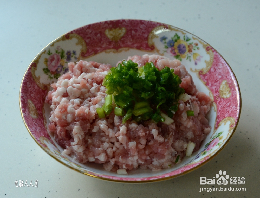 系列美食：[55]菜肉馄饨