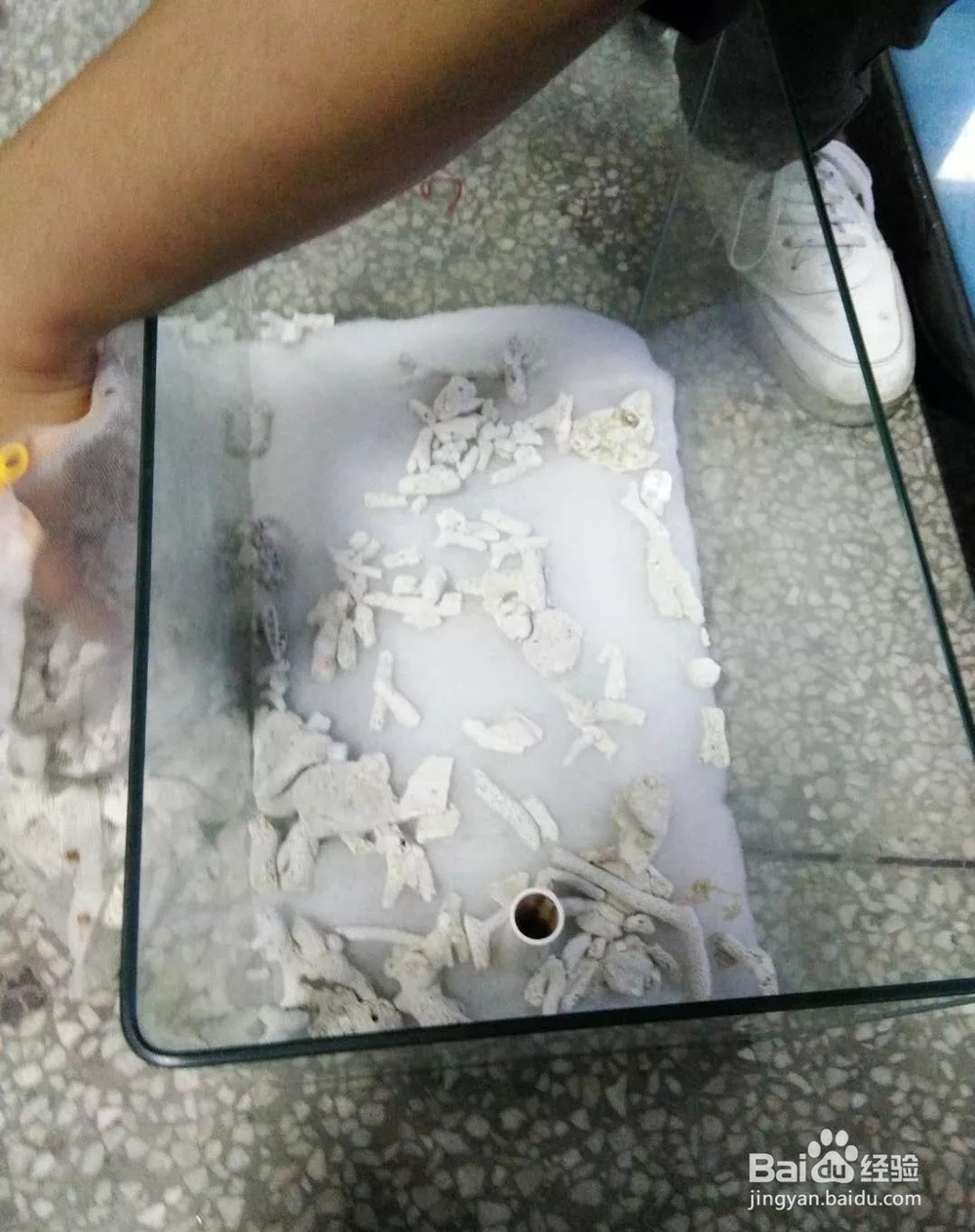 手把手教您如何制作一个小底砂缸