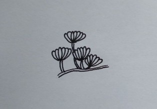 植物的线描画:花卉