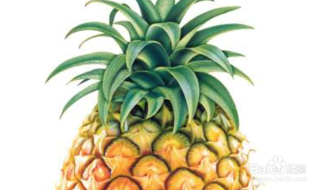 <b>食用菠萝搭配中的相克食材营养素功效作用宜忌</b>