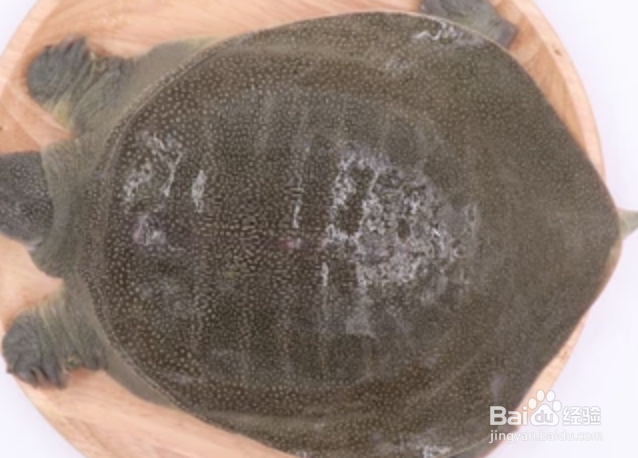 生姜的食用 姜相宜相克 食用价值 调味品食用姜