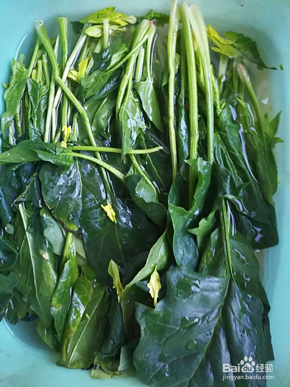 牛肉蘑菇豆角拌面