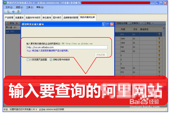 阿里巴巴国际站关键词关键词一键采集和分析