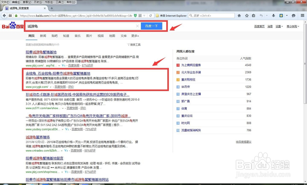 新手如何鉴别南北石金钱龟？诚源龟为您图文直播