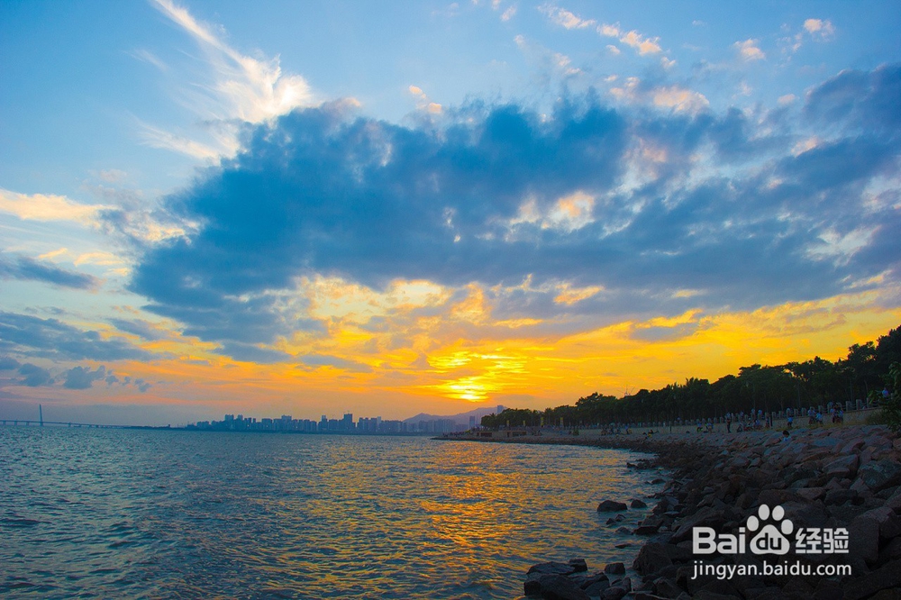 深圳红树林深度游攻略