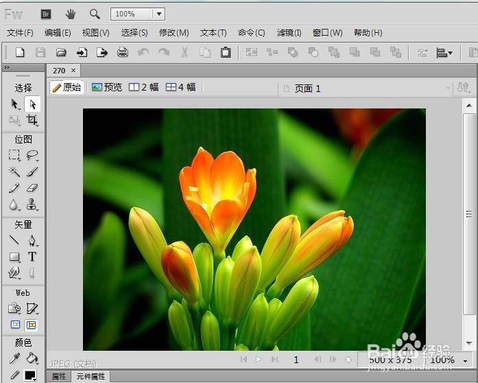 FW怎么制作出图片的缩放模糊效果