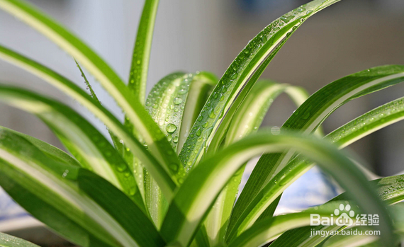 二手烟对孩子的伤害,怎样远离二手烟