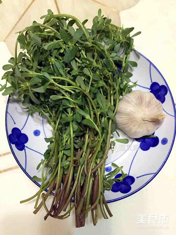 凉拌马齿苋的做法