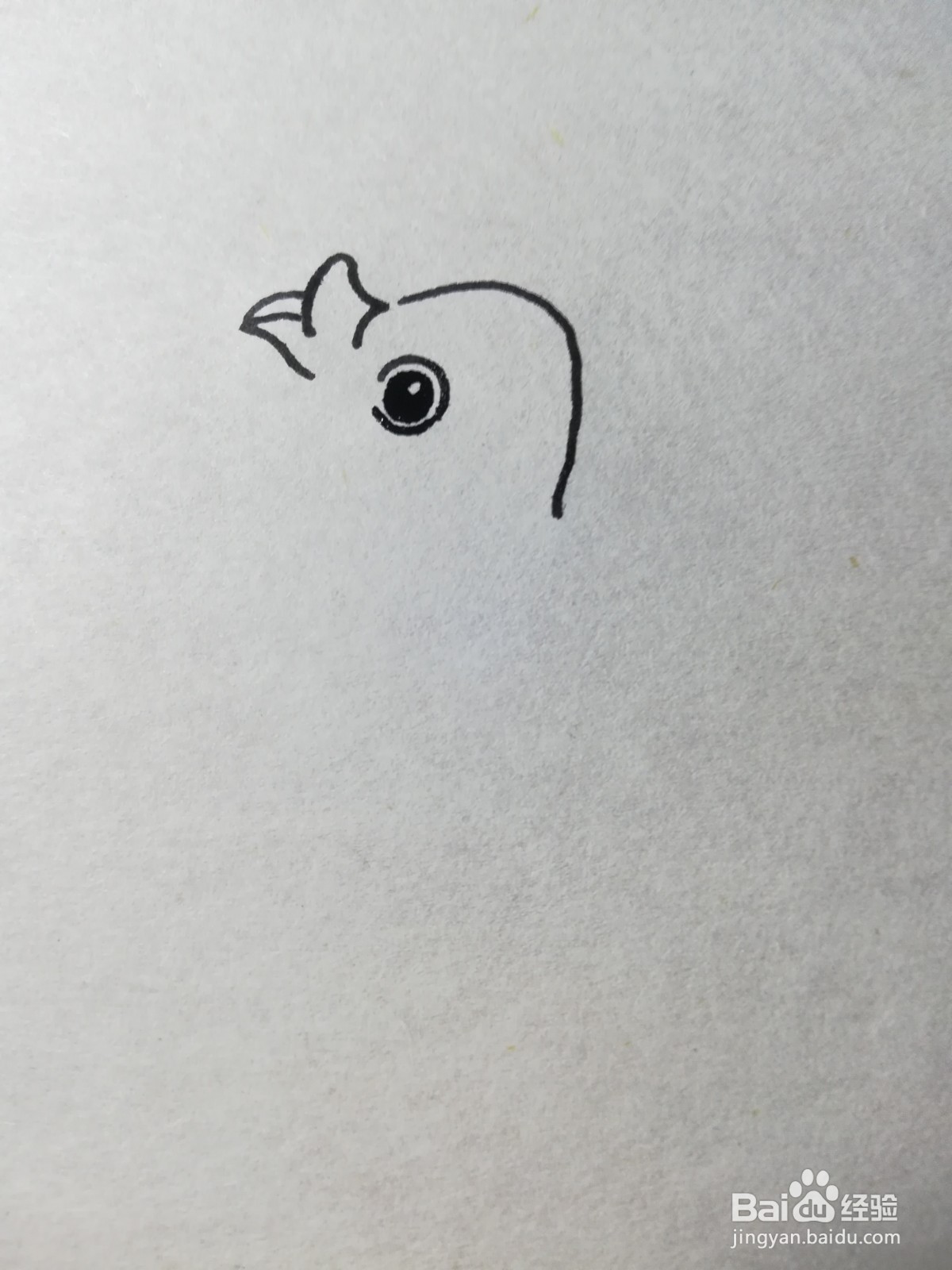 怎么画蓝色小海豚