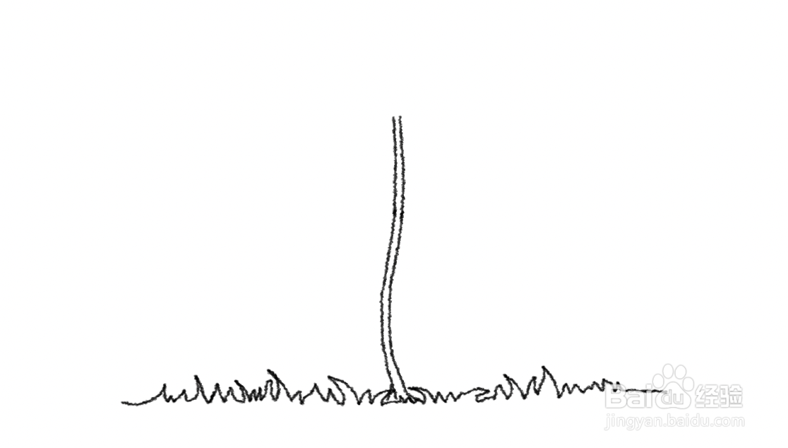 蒲公英花怎么画