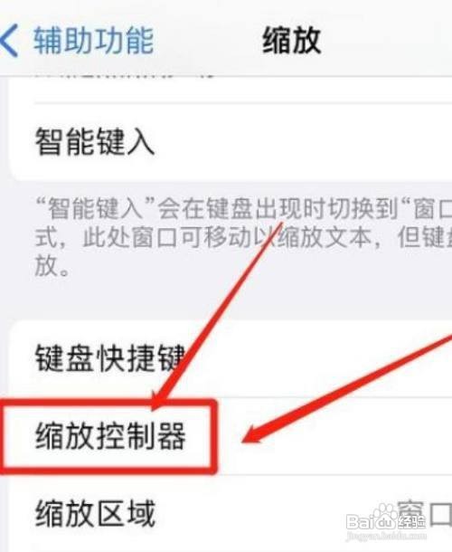 iPhone11Pro手机怎么设置缩放控制器颜色
