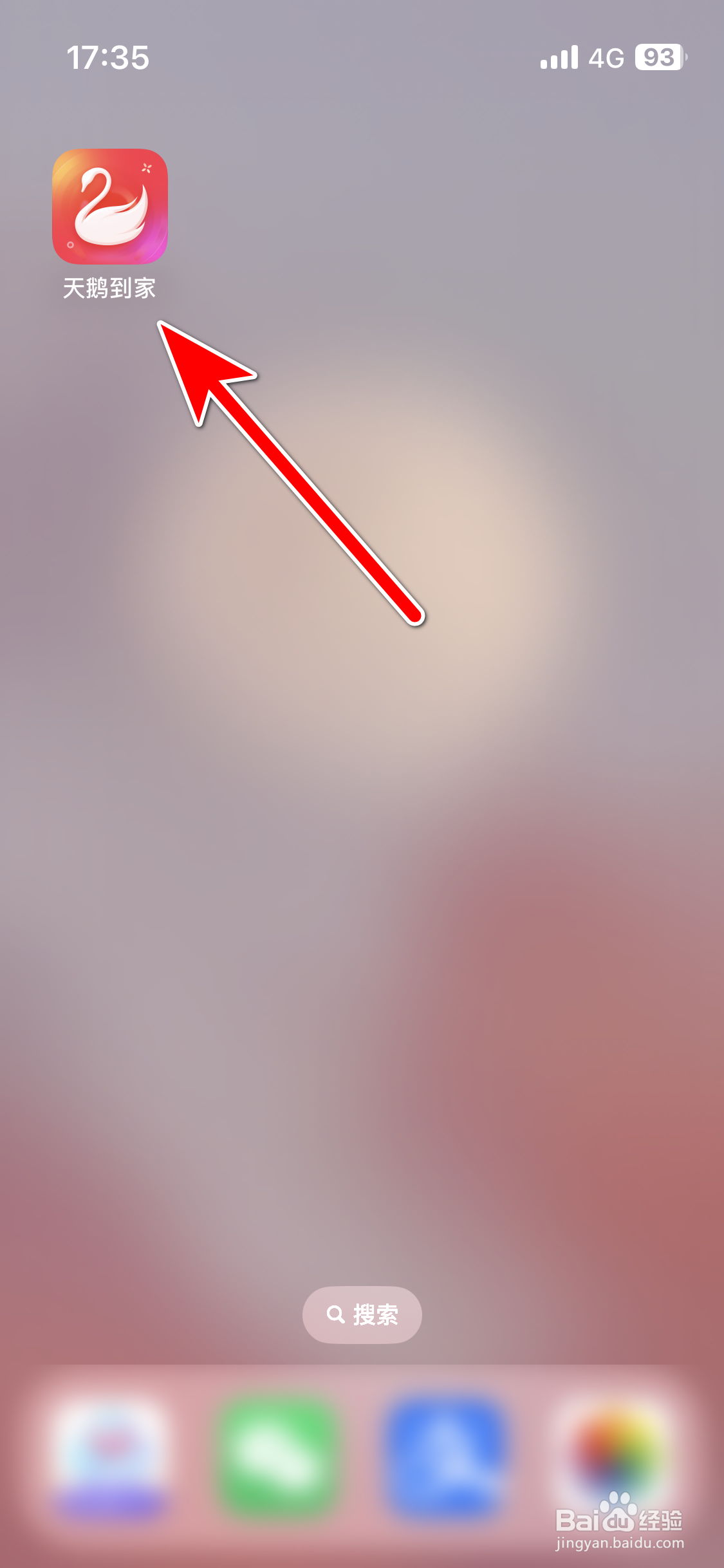 天鹅到家如何咨询客服