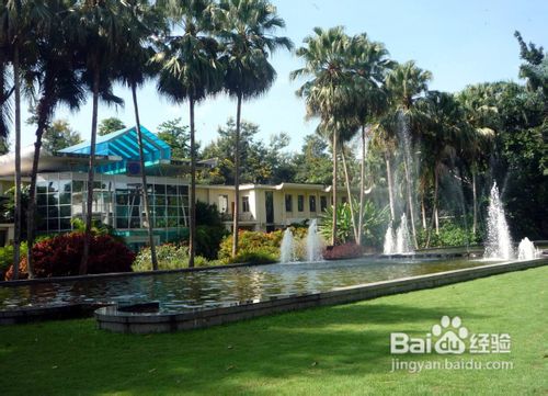 2012西双版纳十一旅游攻略