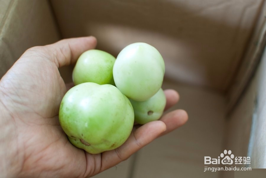 如何快速催熟西红柿（番茄）