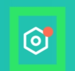 网上国网APP怎样查看隐私声明