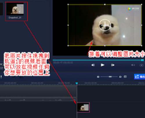 怎么把相机中的视频弄成照片