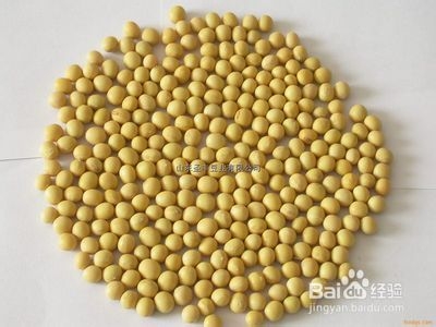 秋冬季美肤的食物