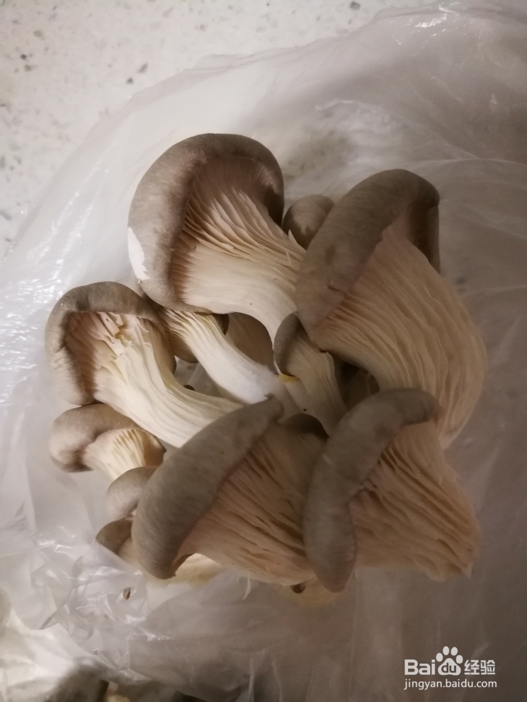 香气浓郁的椒盐蘑菇