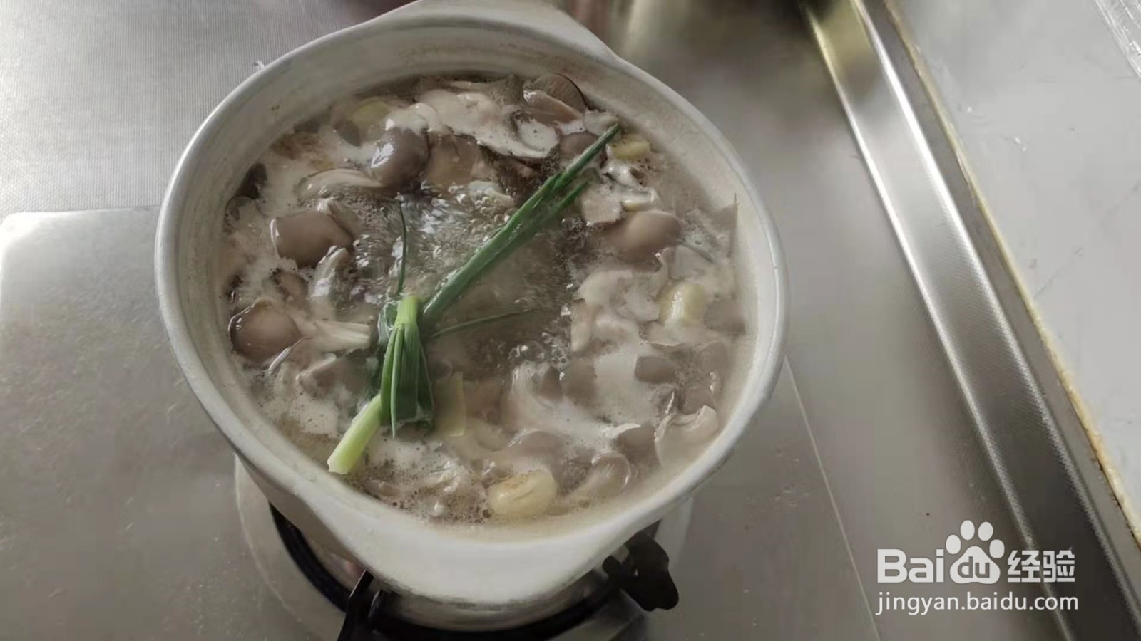 好吃又有营养，还不会变胖的排骨蘑菇汤