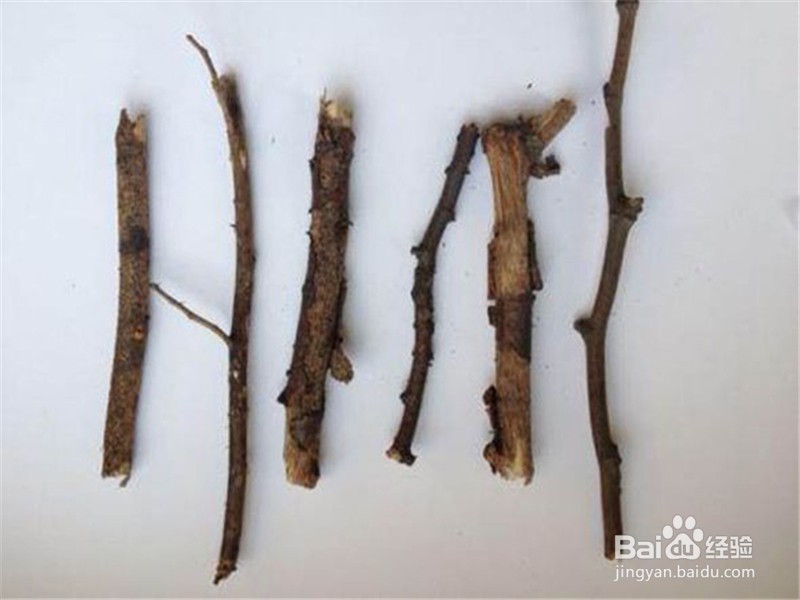 钢笔书法入门教程