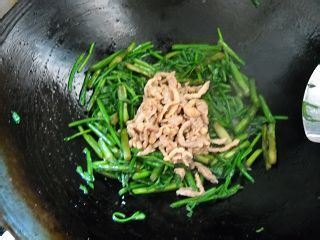 野生水芹炒肉丝
