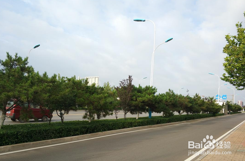 秦皇岛怎么限号