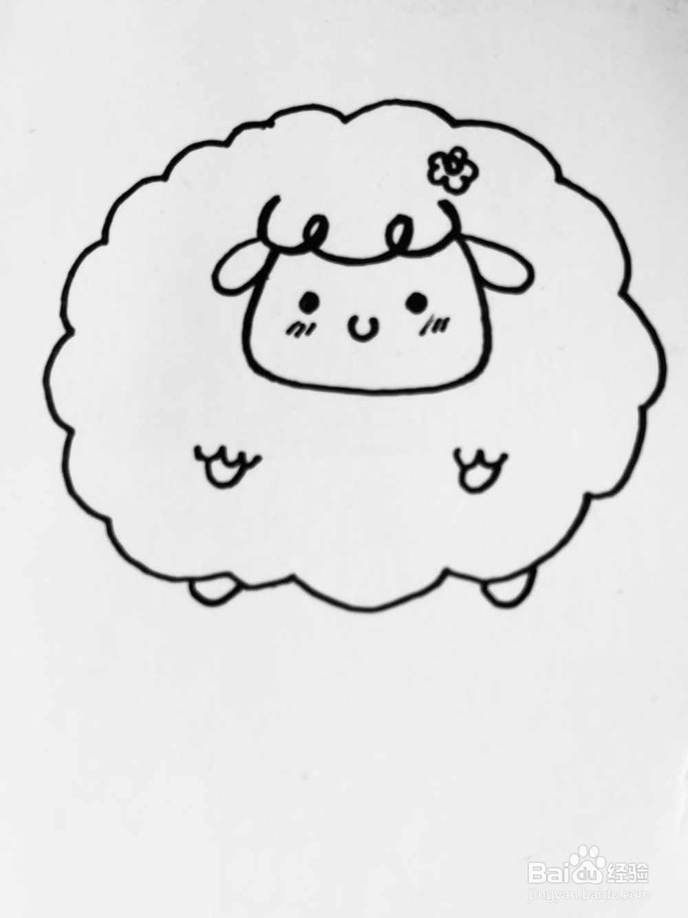 茉莉手绘之萌系绵羊