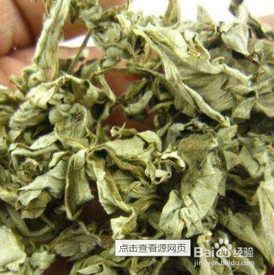 蜈蚣怕什麼東西預防蜈蚣入侵的辦法