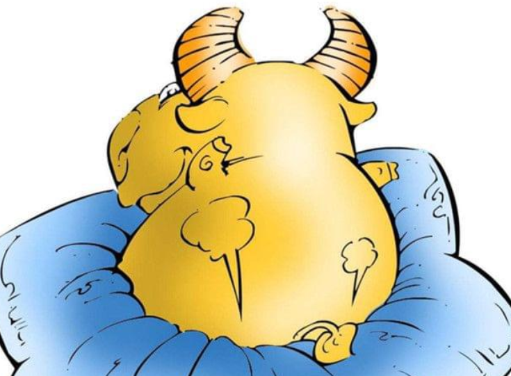 金牛是土象星座吗