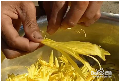 刚摘的黄花菜怎么处理才能吃