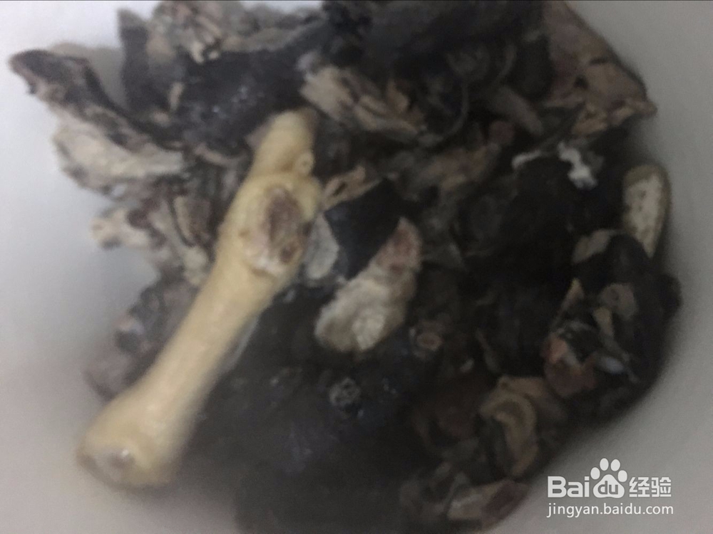 当归党参红枣乌鸡汤的做法