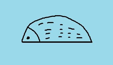 简笔画系列之怎样画刺猬